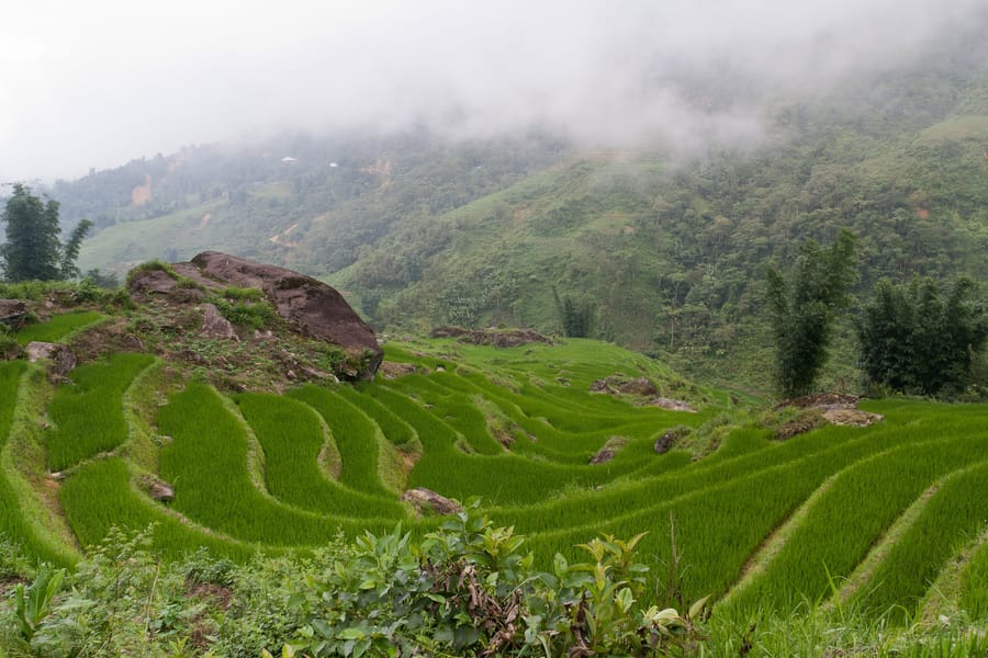 Sa Pa