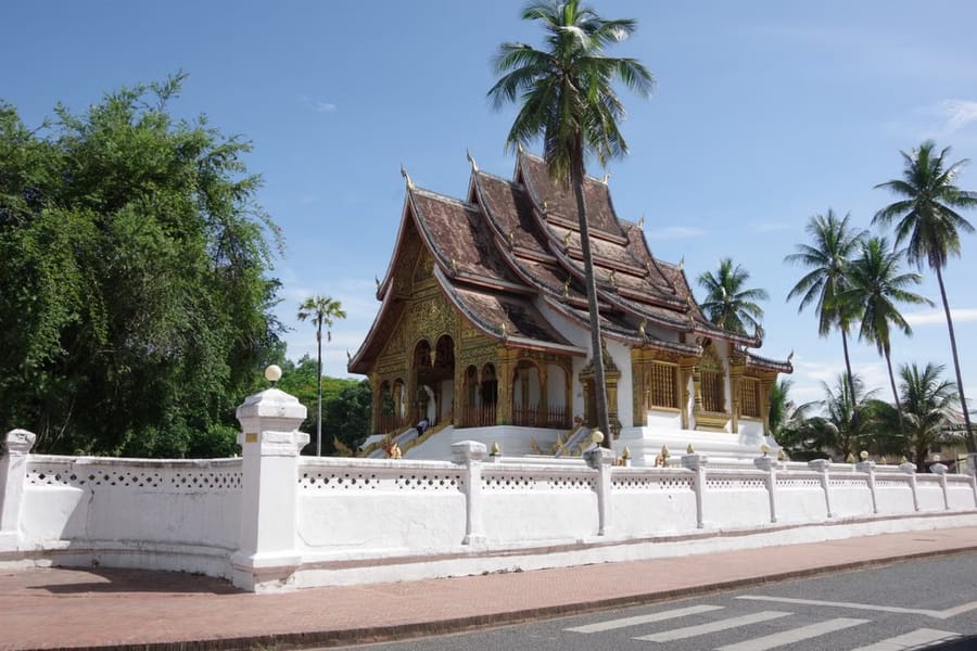 A gold-trimmed temple with a low, sweeping tiered roof stands behind a white perimeter wall lined with palm trees in Luang Prabang.