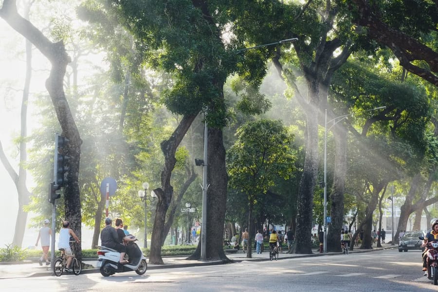 Morning light slants through the tall trees along Hoàn Kiếm Lake in Hanoi as cyclists, joggers and a motorbike share the quiet road.